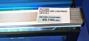 LUCIFER LED LIGHT600